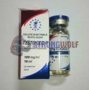 Testoged-P 100mg (Тестогед-П), Golden Dragon