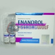 Enandrol 250mg (Энандрол) 10 амп, Balkan Pharma