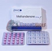 Methandienone 20mg (Метандиенон), ZPHC