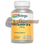 Vitamin B-6 [Timed Release] (120 шт по 100 мг), Solaray